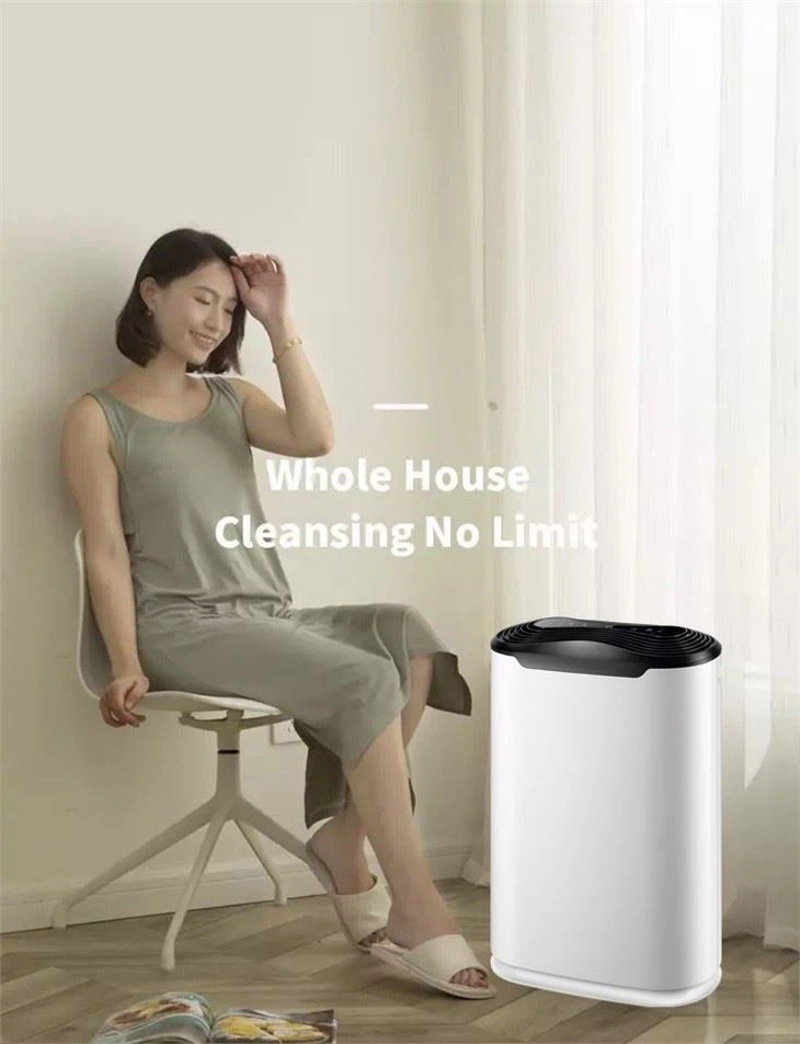 Air Purifier With Reminder To Replace Filter