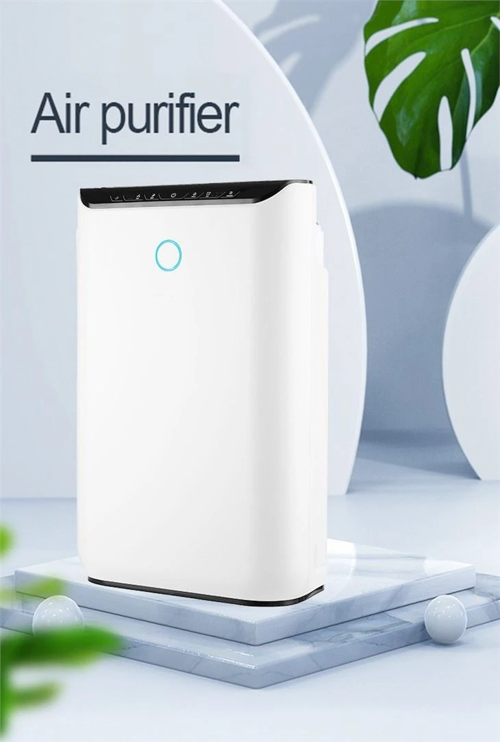 BKJ-55 China Air Purifier Dust Pollen Removed