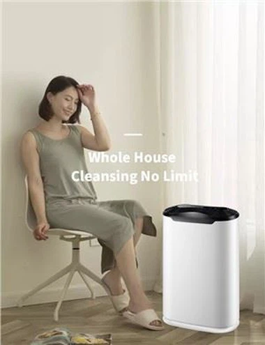 Home International Standard Air Purifier