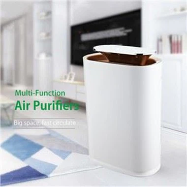 Smart Green Luftreiniger Netto-Ionen-Luftfilter