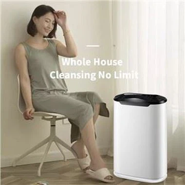BKJ-215 220 CADR Home Air Purifier Kombinierter Filter