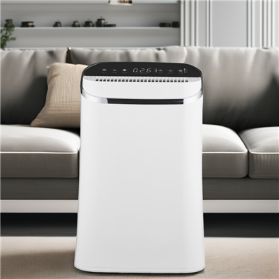 BKJ-310F-A01 Raumluftreiniger für ein gesundes Leben