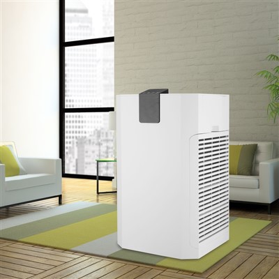 Bkj -80 Ein Luftreiniger bringt frische Luft